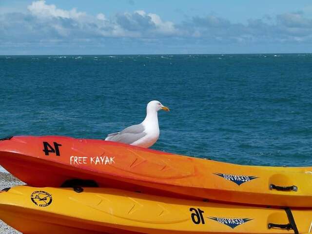Апартаменты Apartment Mediterraneo Seagull Пераст-89